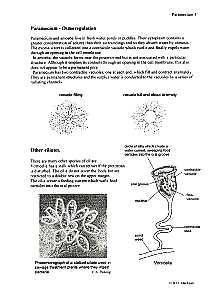 Osmoregulation & other ciliates